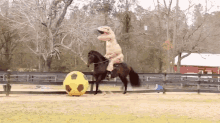 Trex Horse GIF - Trex Horse Soccer GIFs