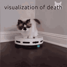 Visualization Of Death GIF - Visualization Of Death GIFs