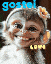 a monkey wearing a flower headband and smiling with the words gostei love below it