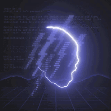 a computer screen with a skull on it