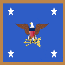 a blue flag with a bald eagle and arrows