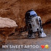 a r2d2 robot from star wars is standing in the dirt next to a rock .