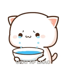 a cat is crying while holding a bowl of water .