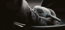 The Mandalorian Baby Yoda GIF - The Mandalorian Baby Yoda Greef Karga GIFs