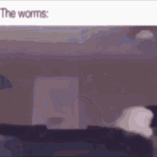 The Worms GIF - The Worms GIFs
