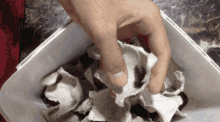 a person 's hand is reaching into a box of eggshells