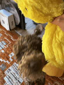 Puppy Duck GIF - Puppy Duck Toy GIFs