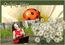 Dila Mshvidobisa Yvavilebi GIF - Dila Mshvidobisa Yvavilebi Ladybug GIFs