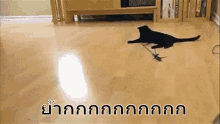 แมว กวาดพื้น GIF - Sweep Cat GIFs