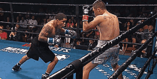 GIF