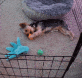 a dog laying in a cage next to a stuffed animal