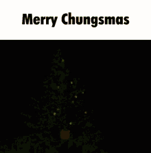 Christmas Chungsmas GIF - Christmas Chungsmas Troll GIFs