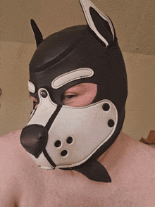 a man is wearing a black and white dog mask on his face