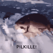 Pilkki Pilkille GIF - Pilkki Pilkille Fish GIFs