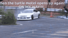 Turtle Turtle Motel GIF