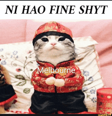 a cat is dressed in a red and black outfit with the words ni hao fine shyt written above it