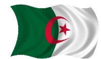 Algéria Flag Sticker - Algéria Flag Ensign Stickers