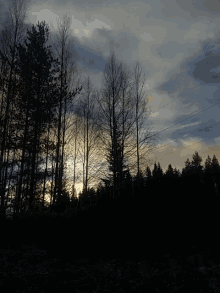 Finland Sunset GIF - Finland Sunset Driving GIFs