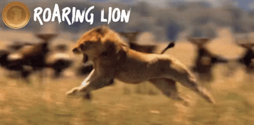 Aslan Roar GIF - Aslan Roar Lion - Discover & Share GIFs