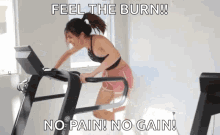 no pain gain academia exercicio