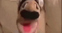 a close up of a stuffed animal with a mustache and a chef hat .