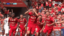 a group of soccer players are celebrating a goal with a crowd behind them