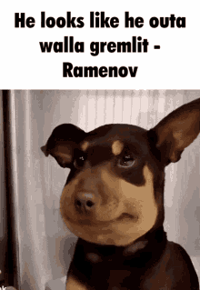 Ramen Ramenov GIF - Ramen Ramenov Ramen Games GIFs