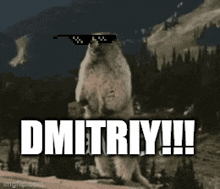 Dmitriy GIF - Dmitriy GIFs