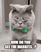 How Do You See The Markets Trading GIF - How Do You See The Markets Trading Tradecat GIFs