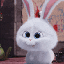 a white bunny rabbit with blue eyes is sitting on a table .