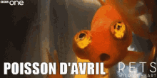 poisson d avril poisson avril premier avril 1er avril