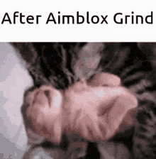 Aimblox Roblox GIF