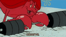 Observe Lobster GIF - Observe Lobster Spongebob GIFs