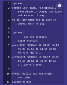 a purple screen with a few lines of text starting with the words " go east "