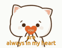 peach cat heart love you love sweet