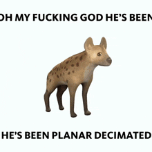 Oh My God He'S Been He'S Been Planar Decimated Hyena GIF - Oh My God He'S Been He'S Been Planar Decimated Hyena Blender GIFs