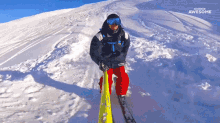 backflip ski skiing landed trick