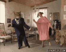 Dancing Cat GIF