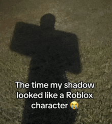 the time my shadow looked like a roblox character .