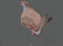 Pigeon Fast GIF - Pigeon Fast Low Poly GIFs