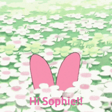 My Melody Sanrio GIF - My Melody Sanrio Sanrio Characters GIFs
