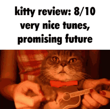 cat music meme