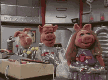 pigs space
