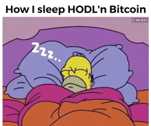a cartoon of homer simpson sleeping with the words " how i sleep hodl 'n bitcoin " above him