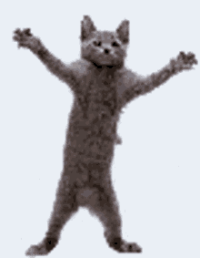 Dancing Kitty GIF - Dancing Kitty Dance GIFs