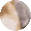 a pixel art drawing of a cat in a circle .