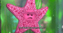 World Cup Starfish GIF - World Cup Starfish The World Cup Starts Today GIFs