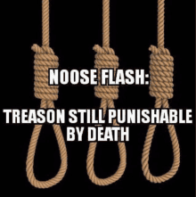 Treason GIF - Treason GIFs