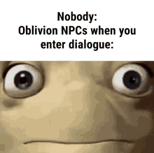 Oblivion Npc GIF - Oblivion Npc Oblivion Npc GIFs