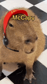 Capybara Cute GIF - Capybara Cute Mcdo GIFs